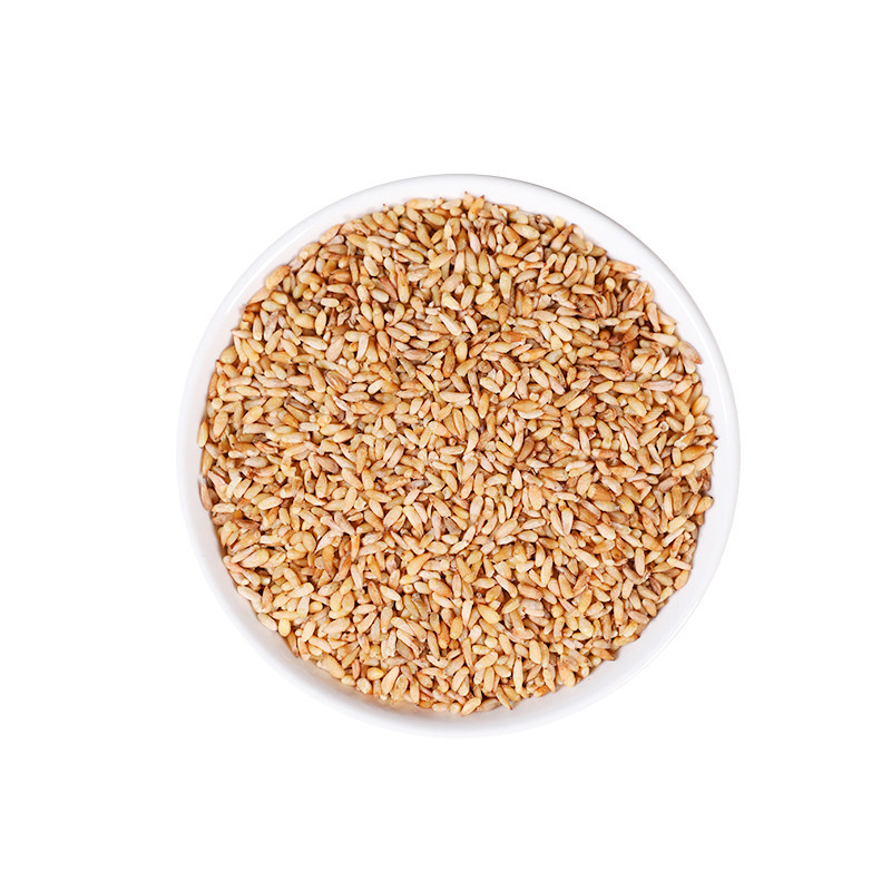 Wild Platycladus Seed Bai Zi Ren 500g Dried Herb for Tea and Decoction - Image 5
