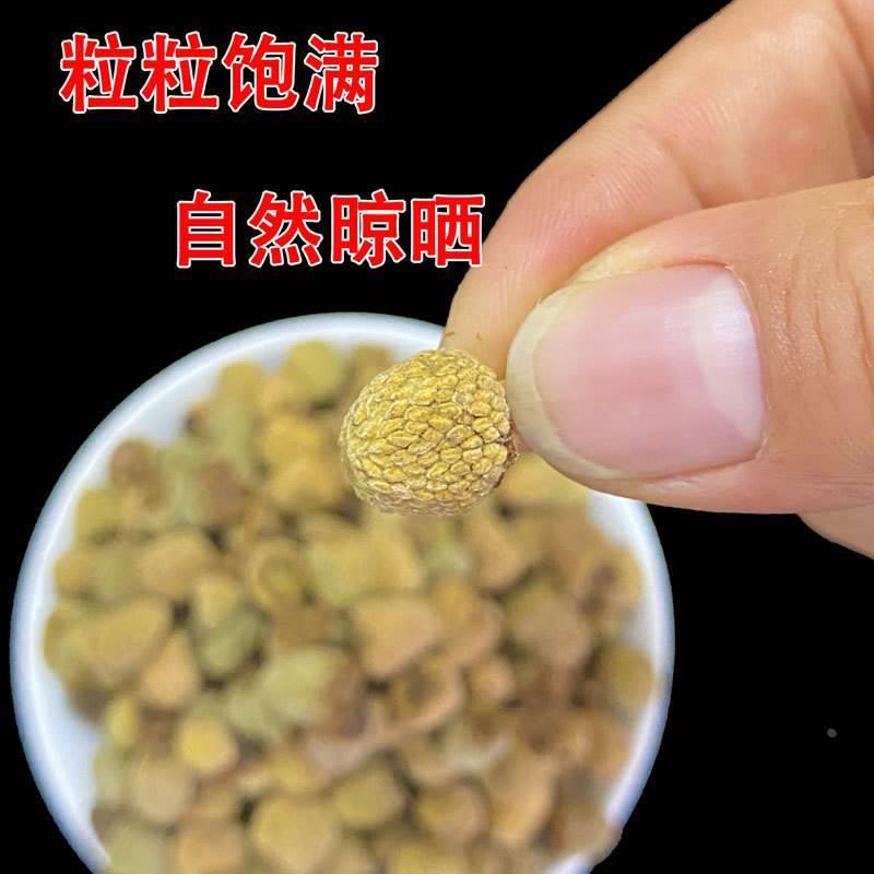 Wild Raspberry Fu Pen Zi Dried Fruit 500g Herbal Tea Wine Ingredient - Image 3