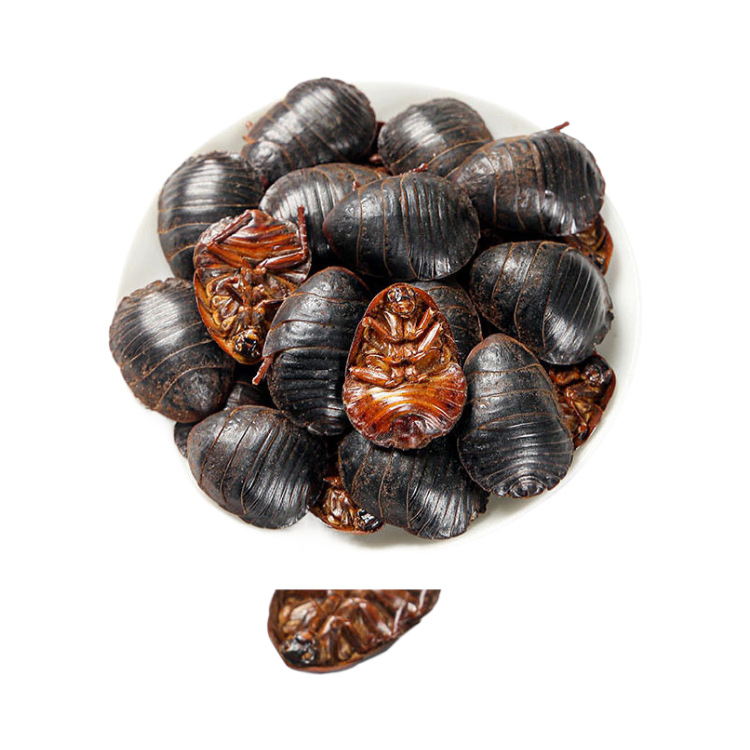 Tu Yuan Dried Ground Beetle 土元 Whole Insect TCM Herb 500g Traditional Decoction Ingredient - Image 5
