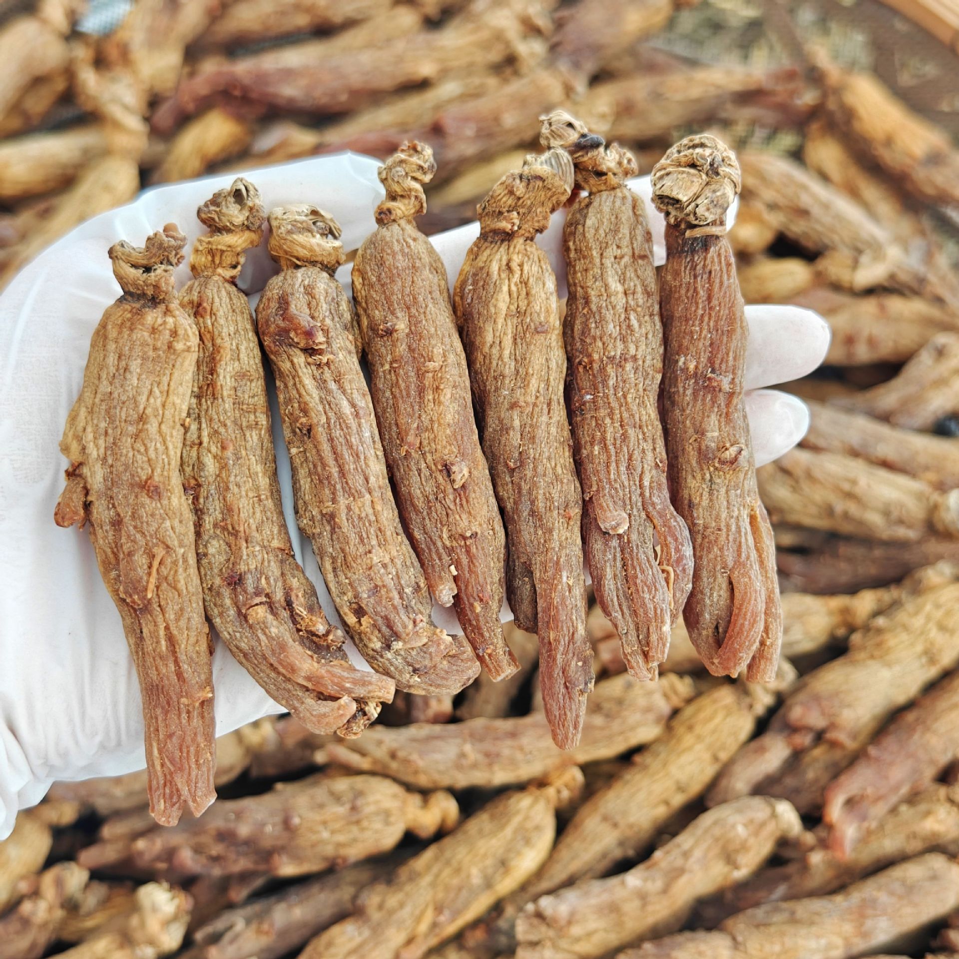 Premium Sugar-Free Red Ginseng Whole Roots and Slices Hong Shen Changbai Mountain 12 Year 500g Bulk Pack - Image 4
