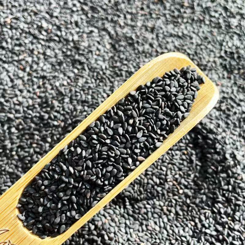Freshly Milled Roasted Black Sesame Powder Hei Zhi Ma 500g Pure Ground Sesame for Drinks Baking and Congee - Image 2