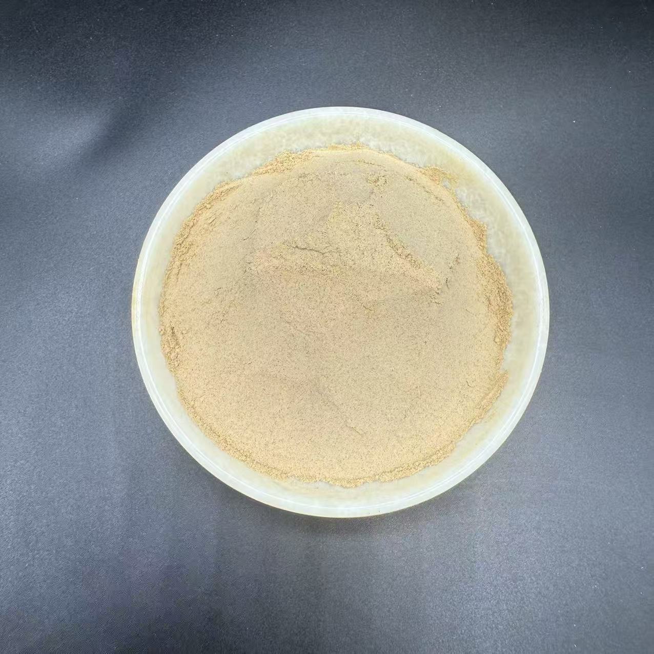 Dang Shen Powder Codonopsis Root 500g Fine Ground Herbal Powder for Tea and Decoction - Image 3