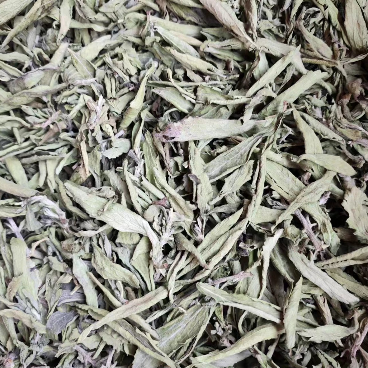 Stevia Leaf (Stevia rebaudiana) — Dried Sweet Herb for Tea & Natural Sweetening - Image 2