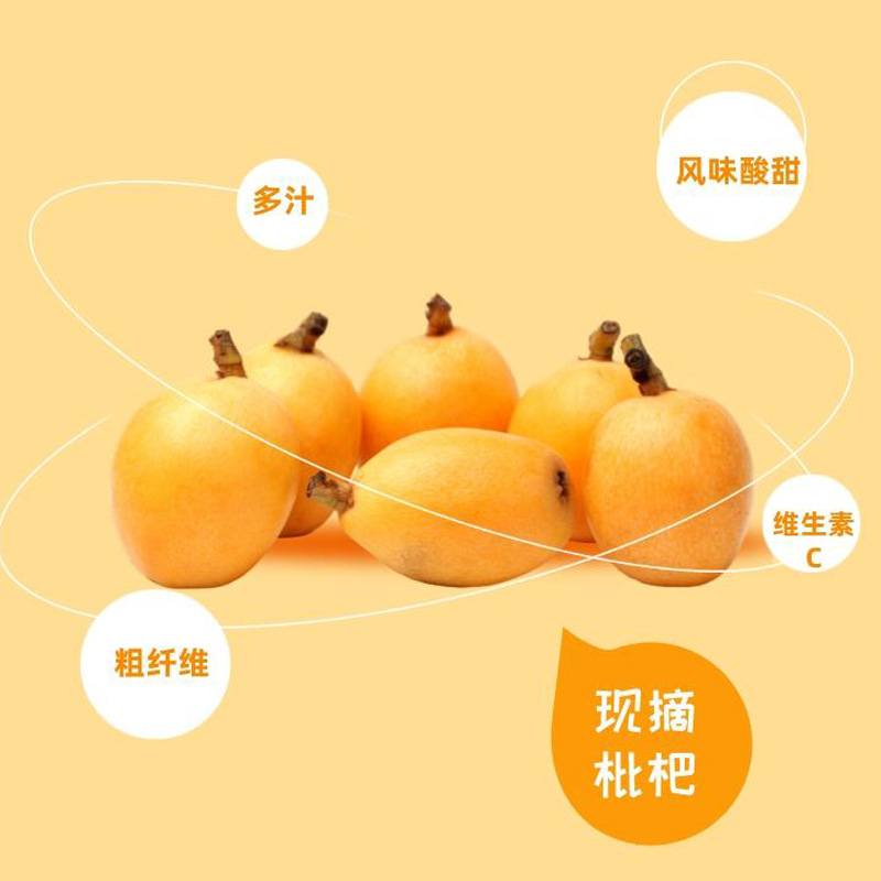 Loquat Autumn Pear Paste Pi Pa Qiu Li Gao 210g Barrel with 21 Stick Packs Ready to Drink Herbal Syrup - Image 3