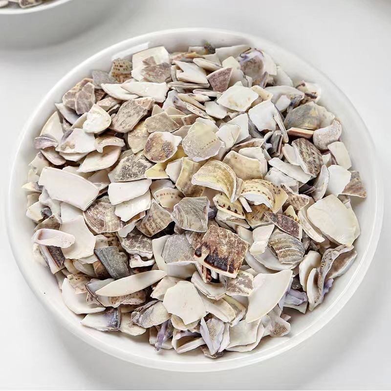 Hai Ge Ke Powder (Meretrix Shell) — Sulfur-Free Raw Sea Clam Shell Herbal Powder - Image 2
