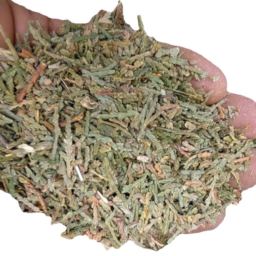 Ce Bai Ye Powder (Platycladus orientalis) — Dried Arborvitae Leaf Herb, 500g - Image 5