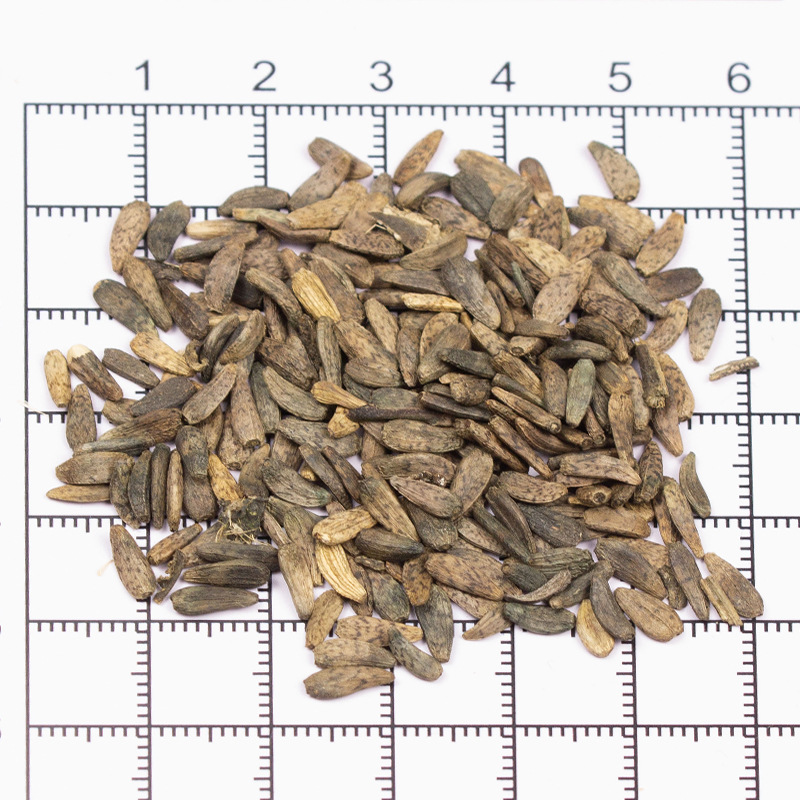 Dried Burdock Seed Niu Bang Zi 牛蒡子 Traditional Chinese Herb Clean Sifted 1 lb Bulk - Image 2