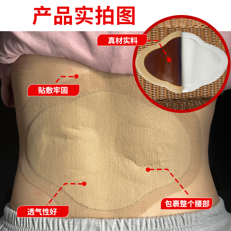 Lumbar Herbal Patch 17x25cm External Topical Paste for Waist Comfort Traditional Chinese Herbal Formula - Image 3