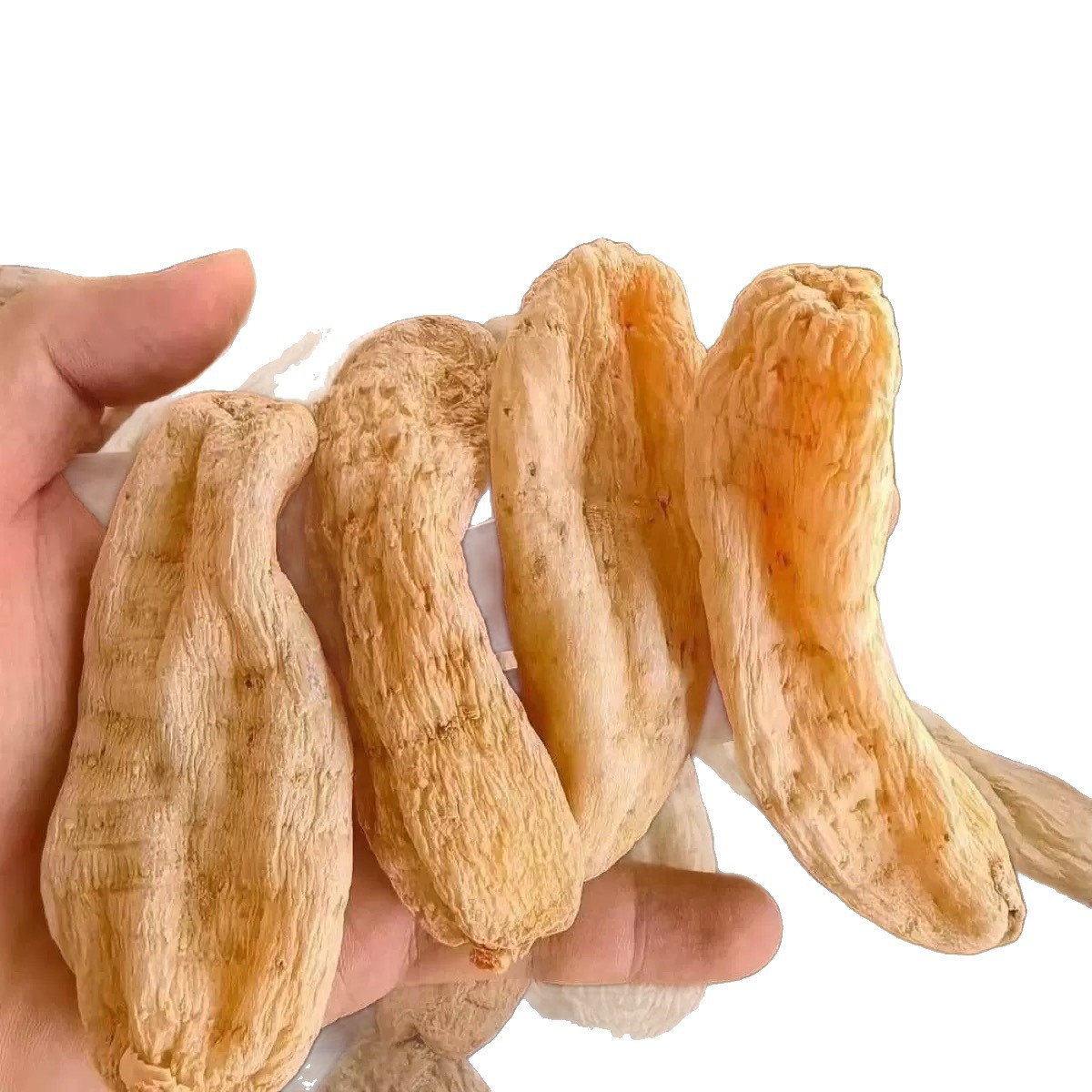 Premium Gastrodia Root Slices for Soup and Decoction 200g Box - Image 5