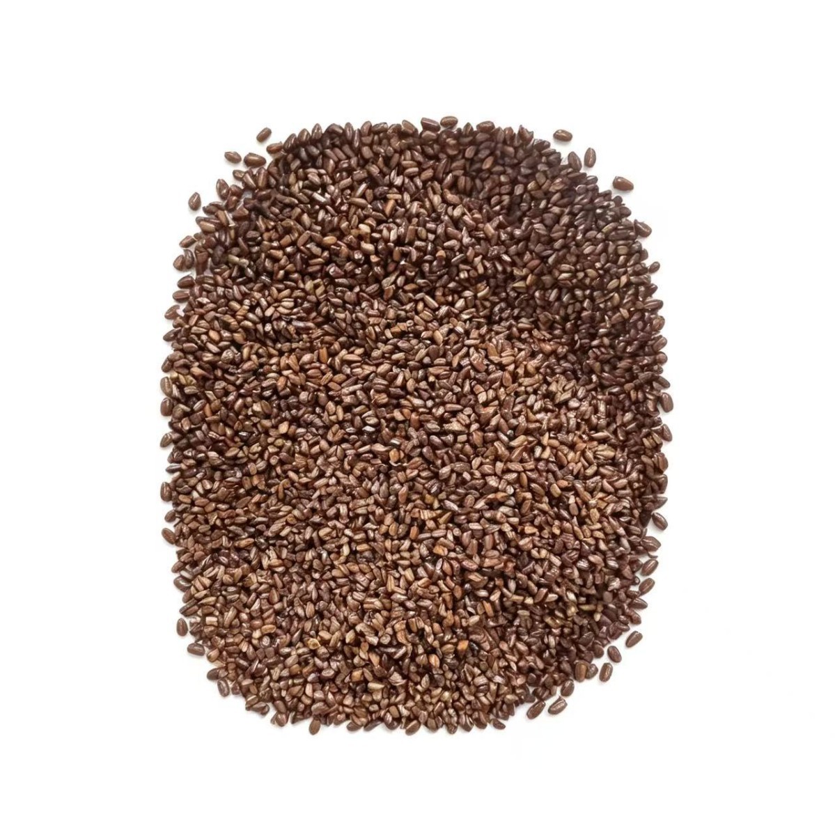 Cassia Seed Jue Ming Zi Dried Whole Seeds 1000g Herbal Tea Ingredient Bulk Pack - Image 5