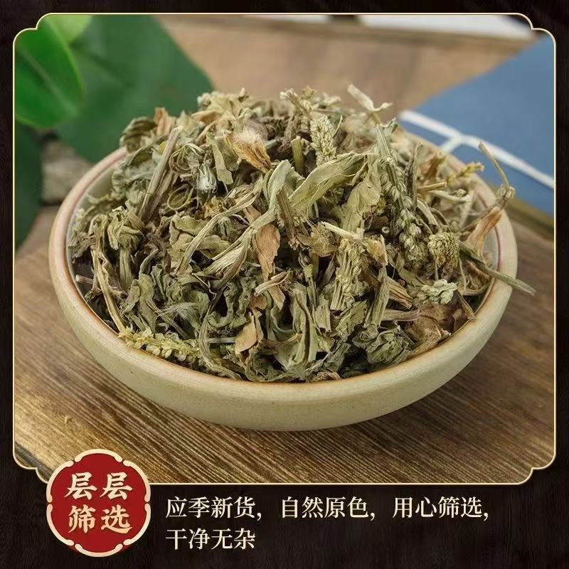 Dried Plantain Herb Che Qian Cao 40g Natural Sun Dried Whole Plant for Herbal Tea and Decoction - Image 2