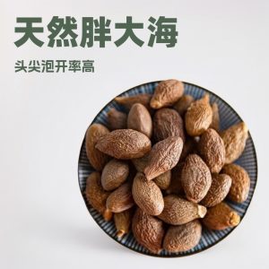 Pang Da Hai (Sterculia lychnophora) — Dried Round Fruit for Throat-Soothing Tea