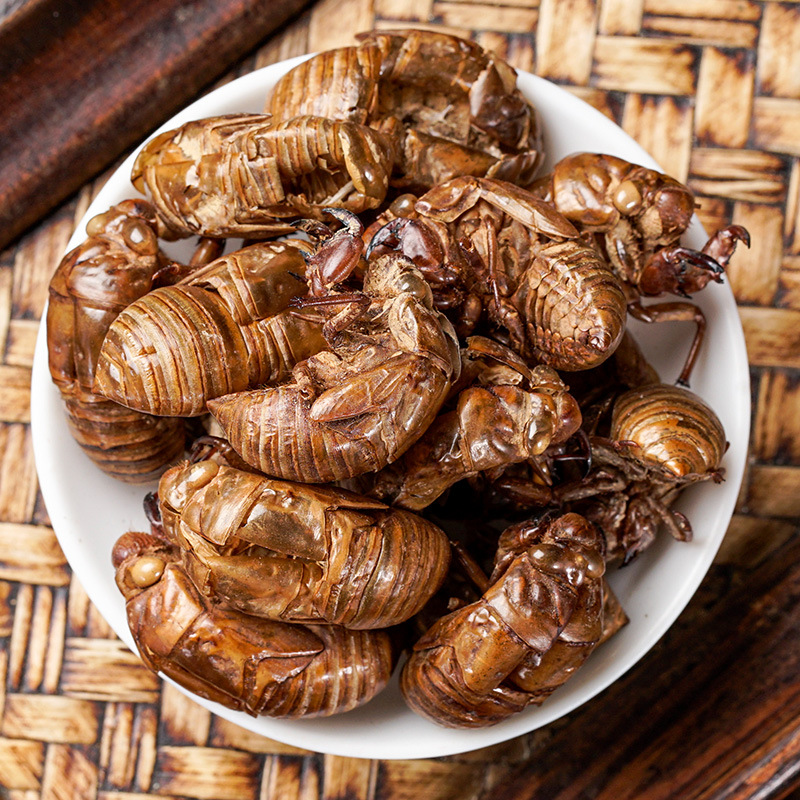 Chan Tui (Cicada Slough) — Washed Dried Cicada Molt for TCM Tea & Decoction - Image 2