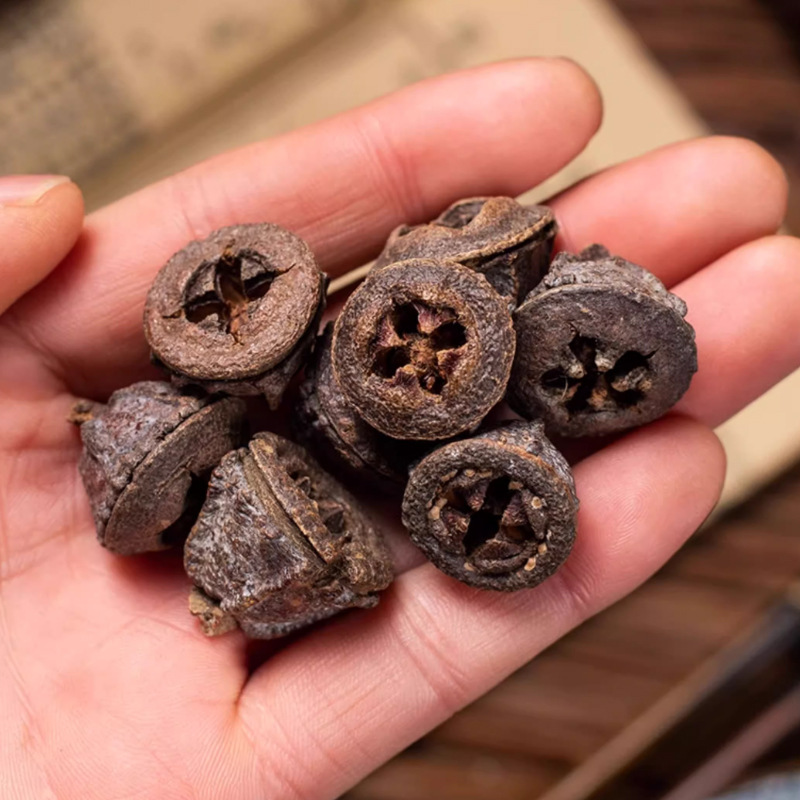 Yi Kou Zhong Dried Fruit 500g Natural Sun Dried Whole Fruit for Herbal Decoction and Tea - Image 2
