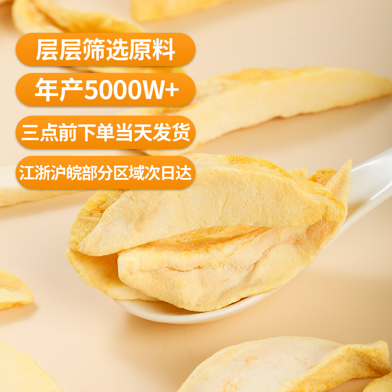 Freeze-Dried Mango Slices (Mangifera indica) — Dried Fruit Snack & Herbal Tea Ingredient - Image 3