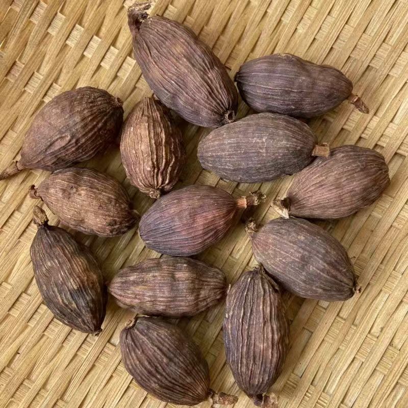 Cao Guo Tsaoko Fruit 100g Bottle Dried Chinese Herbal Spice for Cooking and Decoction - Image 4