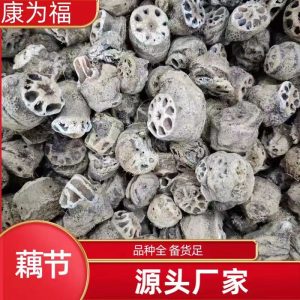 Ou Jie (Nelumbo nucifera) Lotus Rhizome Node — Dried Herbal Decoction Piece