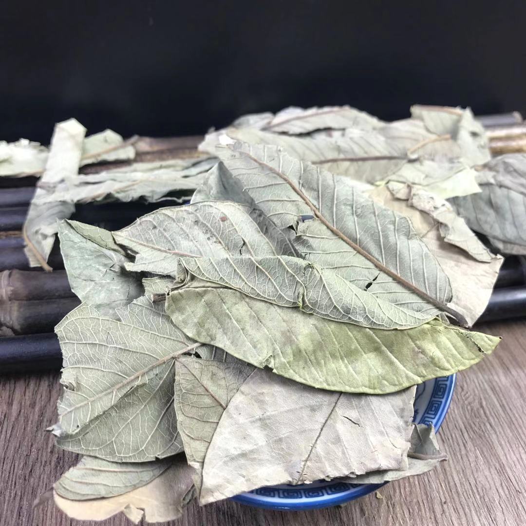 Guava Leaf Tea 番石榴叶 Fan Shi Liu Ye Dried Herbal Tea Leaves 500g for Daily Brew - Image 3