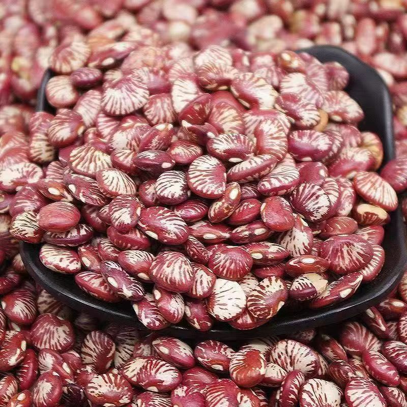 Zebra Beans Ban Ma Dou 500g Can Dried Kidney Beans for Soups and Congee - Image 2