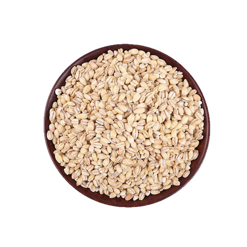Hulled Barley Kernels Da Mai Ren Hordeum vulgare Roasted Peeled Grain for Soy Milk and Grinding 25kg Bulk Bag - Image 5