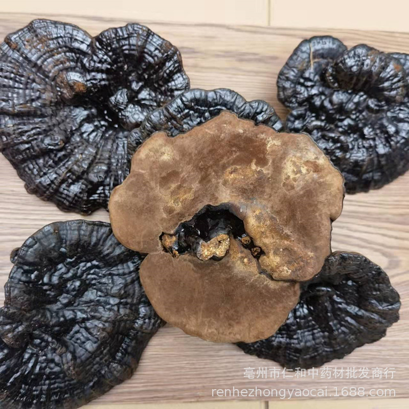 Changbai Mountain Black Reishi Lingzhi Whole Dried Mushroom Traditional Herbal Decoction - Image 2