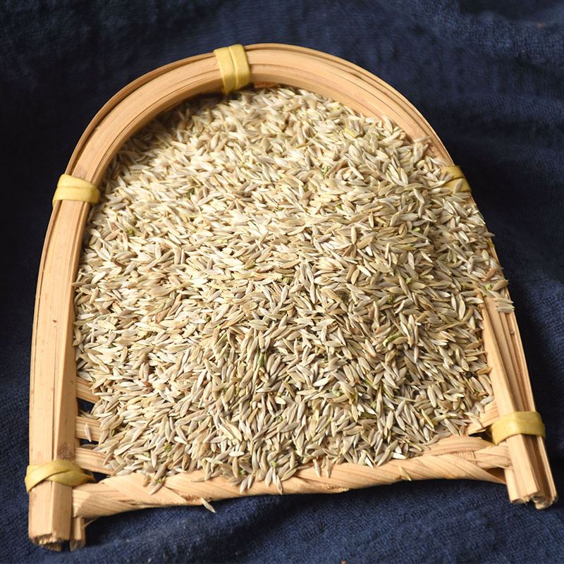 Bai Ju Sheng Seeds (Lactuca sativa) — Dried Food-Herb Lettuce Seeds for Tea & Soup - Image 3