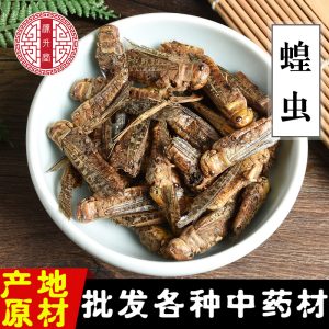 Dried Locust (Locusta migratoria) — Edible Farm-Raised Grasshopper, 500g Bulk Food Ingredient
