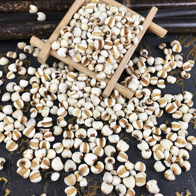 Coix Seed Yi Yi Ren 500g Dried Job's Tears Grains for Soup Congee and Herbal Tea - Image 2