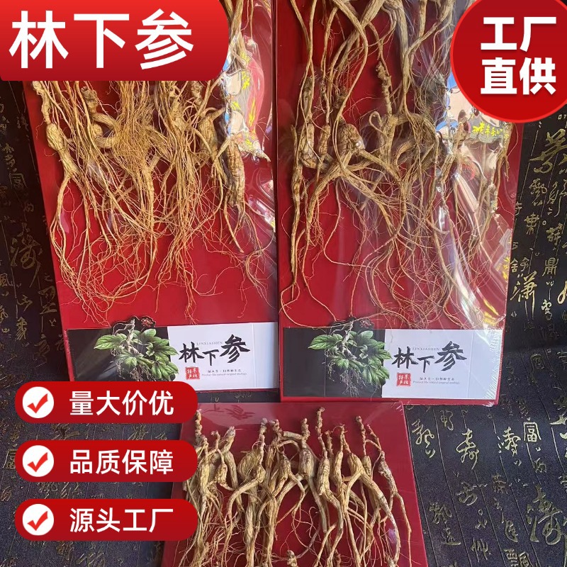 Dried Forest Ginseng Root Slices 100g Sun Dried Jilin Ginseng for Cooking and Decoction - Image 3