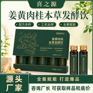 Turmeric & Cinnamon Herbal Fermented Drink (Curcuma longa & Cinnamomum cassia) — Botanical Beverage with Ginger & Black Pepper