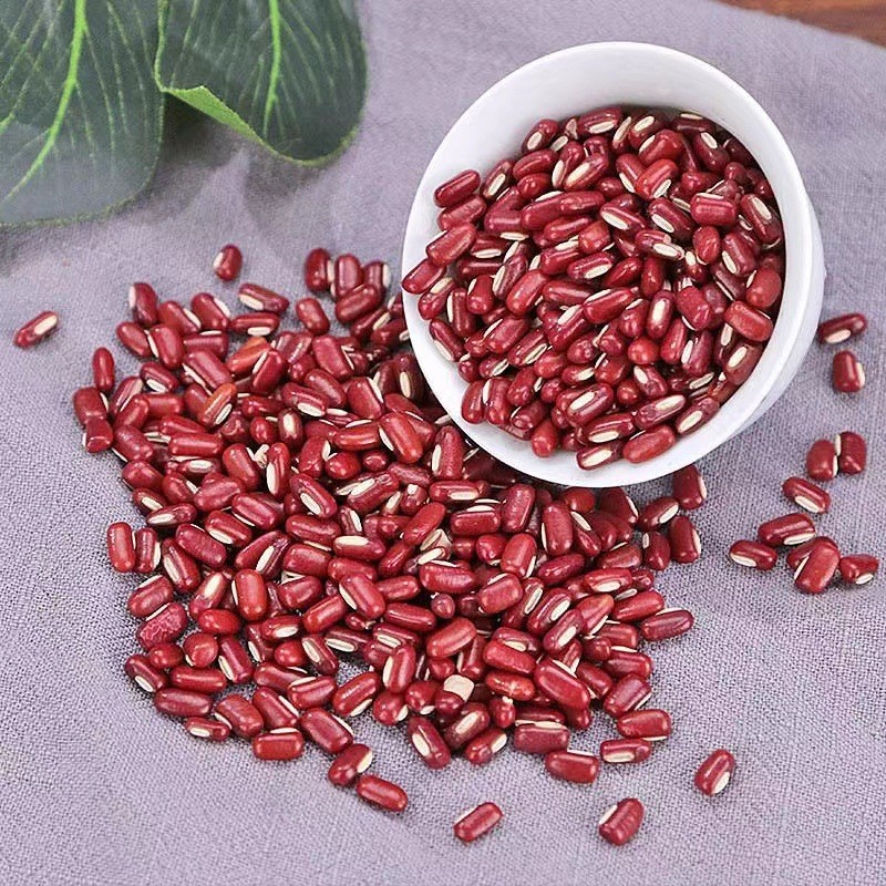 Adzuki Bean Powder Chi Xiao Dou 500g Freshly Milled Herbal Powder for Drinks and Cooking - Image 4