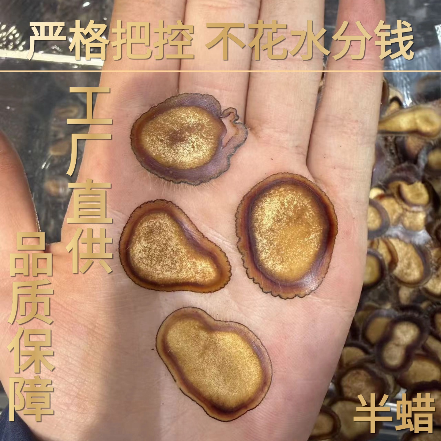Deer Antler Wax Slices Half Wax Slices 10g Traditional Chinese Tonic Herb for Cooking - Image 2