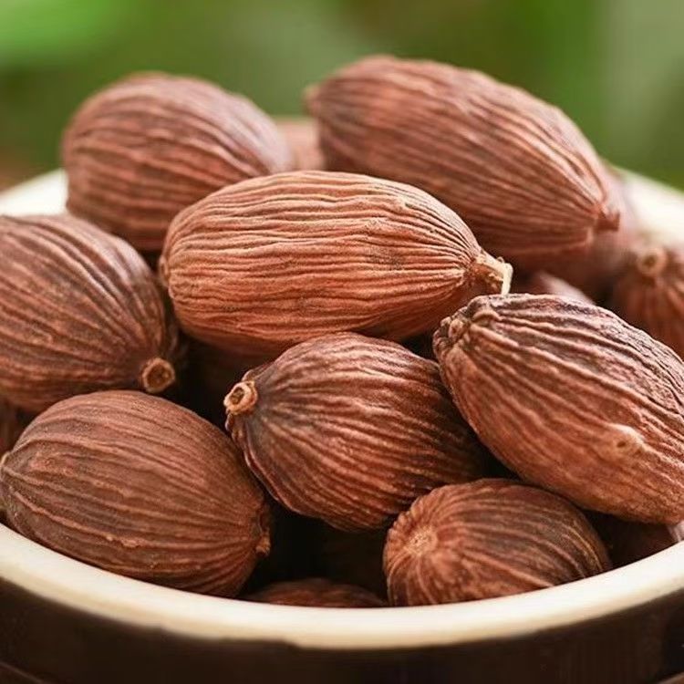 Cao Guo Tsaoko Fruit 100g Bottle Dried Chinese Herbal Spice for Cooking and Decoction - Image 2