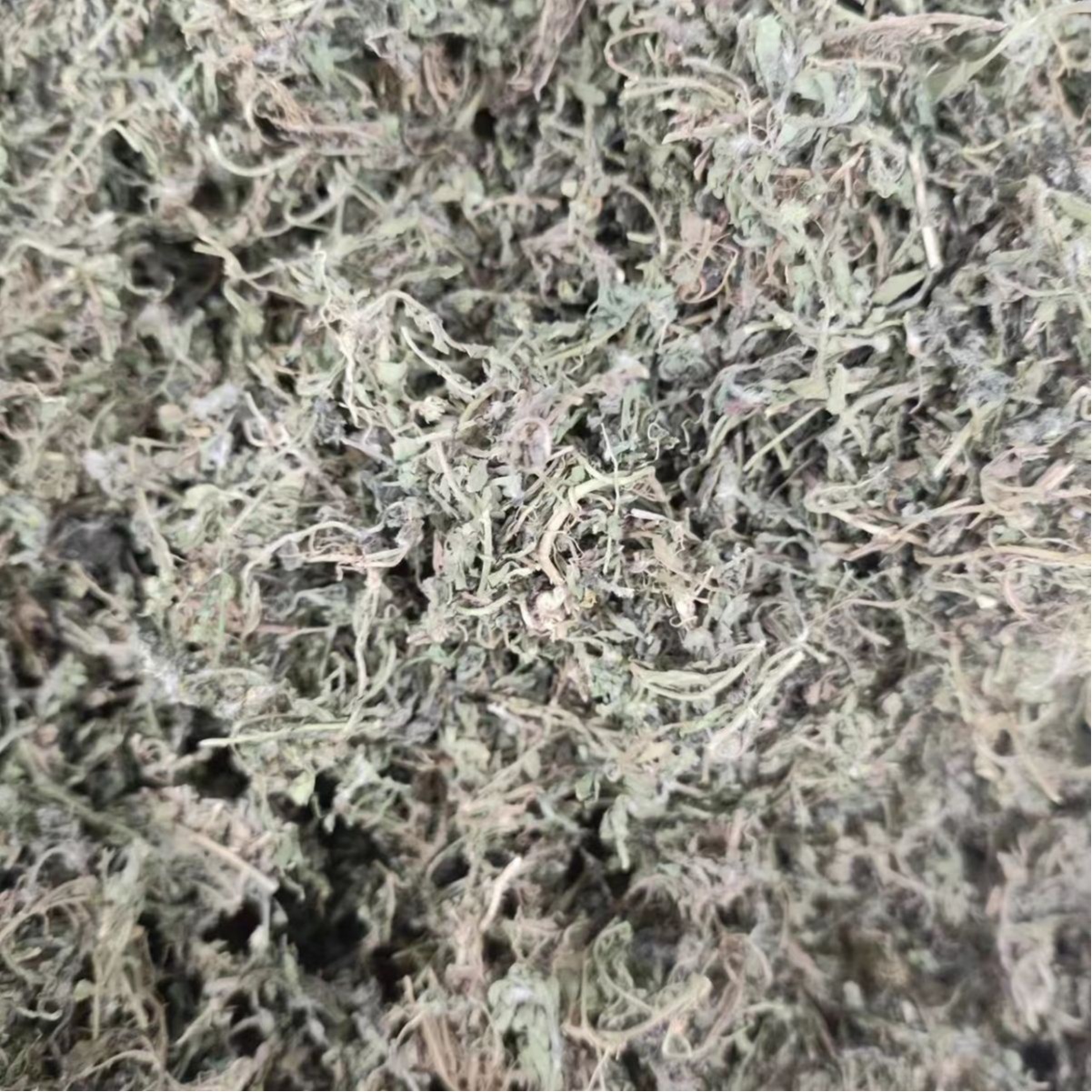 E Bu Shi Cao Powder (Centipeda minima) — Dried Food Herb, 500g - Image 5