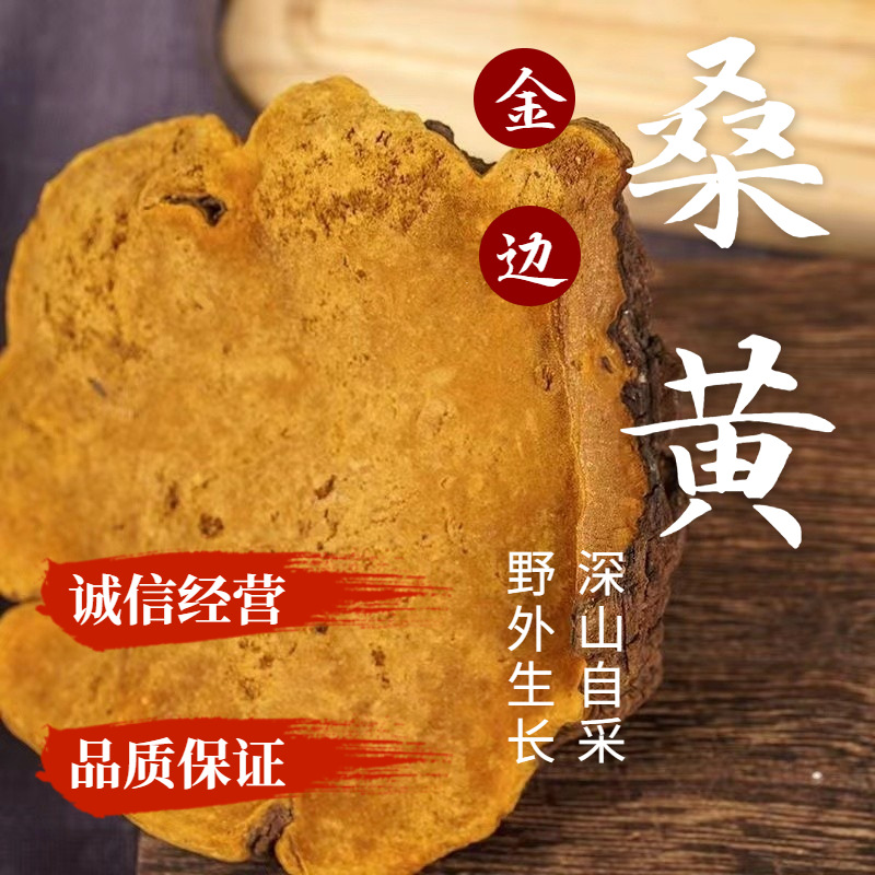 Mulberry Sang Huang (Sanghuangporus sanghuang) — Wild Jilin Changbai Mountain Cut Slices, 100g - Image 2