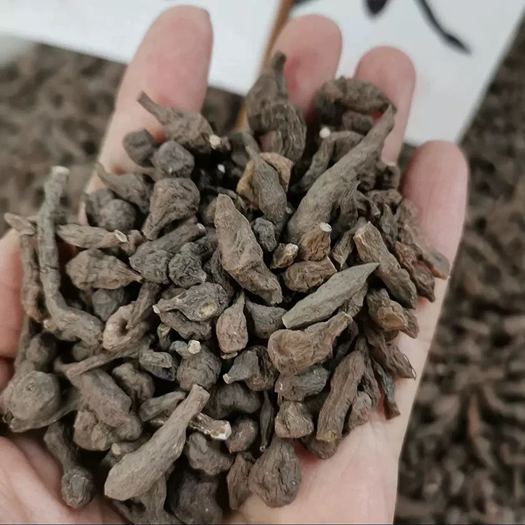 Tibetan Ginseng Fruit Dried Herb 50g Box Renshen Guo Culinary Tonic Soup Ingredient - Image 4