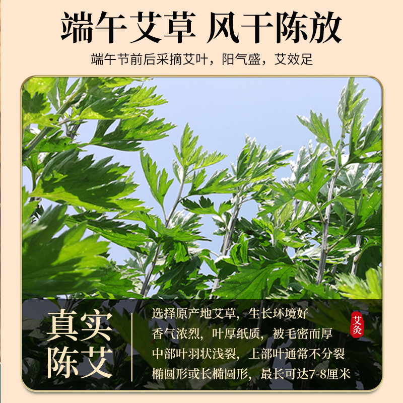 Wild Dried Mugwort Leaves Ai Ye 500g for Foot Soak Bath and Traditional Herbal Care - Image 2