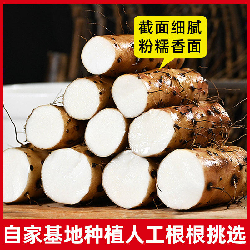 Fresh Chinese Yam Tiegun Shan Yao Wenxian Iron Stick Yam 3kg Gift Box - Image 3