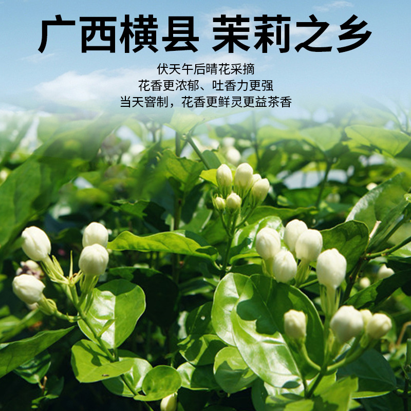 Dried Jasmine Flower Tea Buds Molihua Loose Herbal Tea 35g - Image 2
