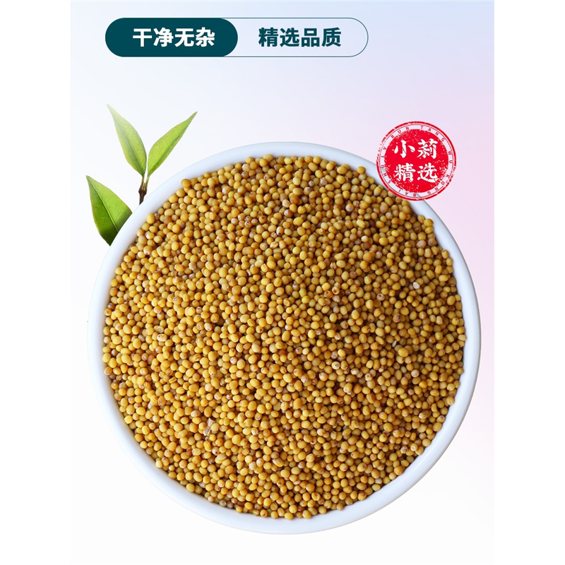 Yellow Mustard Seed 100g Bai Jie Zi Traditional Chinese Herb Culinary Spice Whole Seeds - Image 2