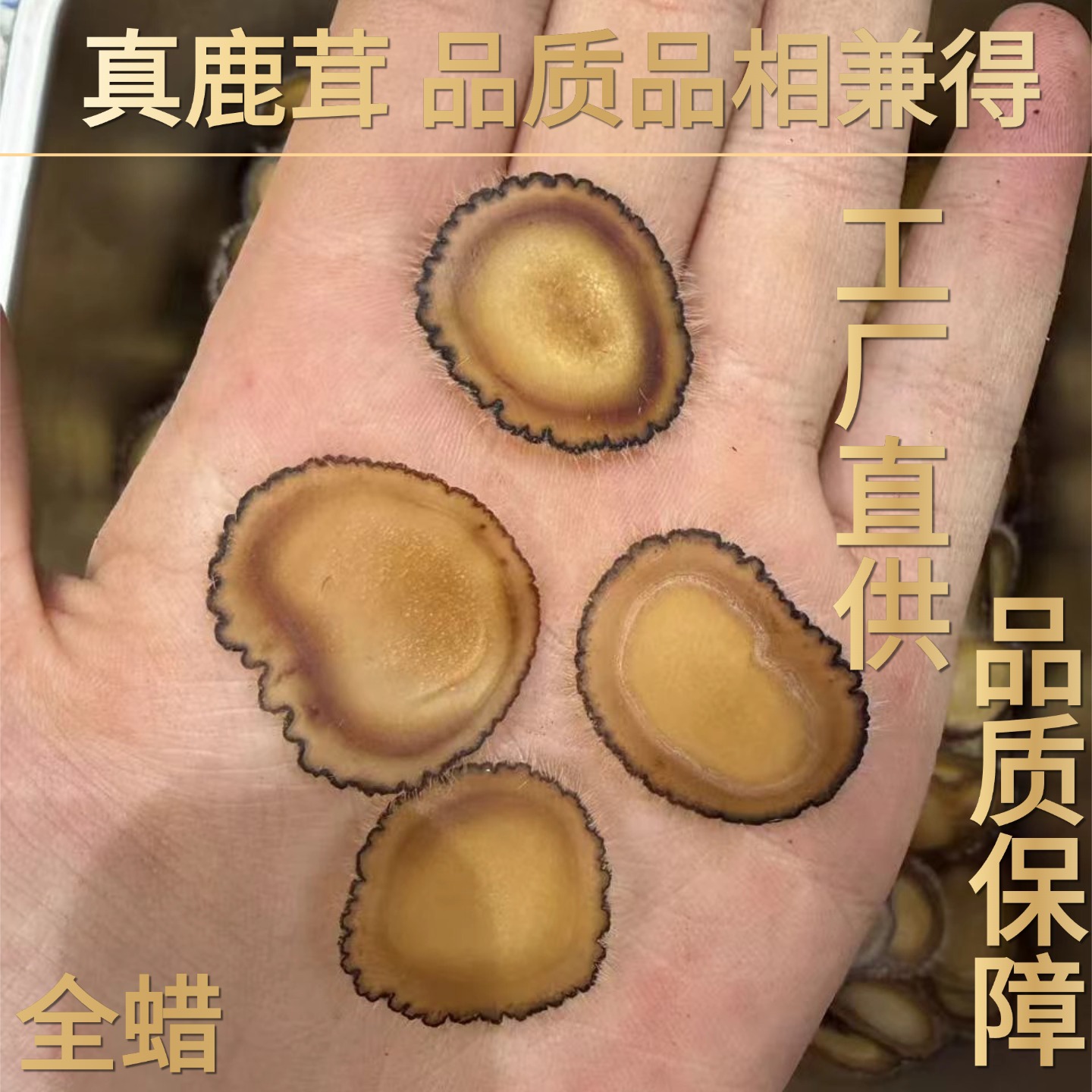 Deer Antler Wax Slices Half Wax Slices 10g Traditional Chinese Tonic Herb for Cooking - Image 4