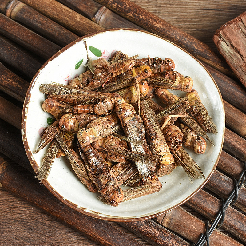 Dried Locust (Locusta migratoria) — Edible Farm-Raised Grasshopper, 500g Bulk Food Ingredient - Image 3