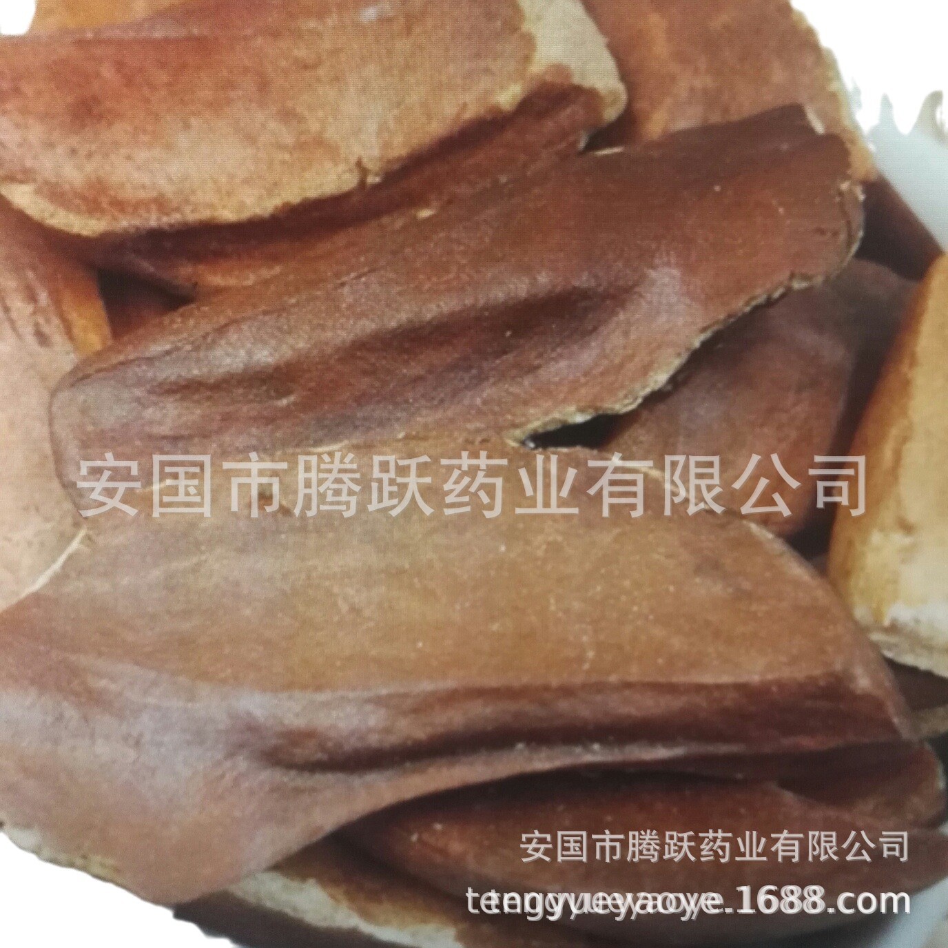 Xiang Tian Guo Seeds Dried Fructus Homalomena Herbal Raw Material 500g - Image 5
