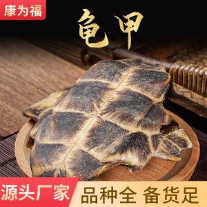 Gui Ban (Plastrum Testudinis) — Dried Turtle Shell Herb for Decoction & Soup