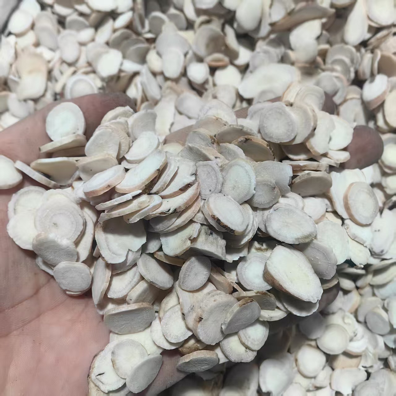 White Peony Root Slices Bai Shao 白芍 Sulfur-Free Dried Herb for Decoction and Powder - Image 4