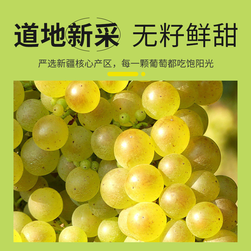 Seedless Green Raisins 250g Jar Xinjiang Turpan Dried Fruit Ready to Eat - Image 4