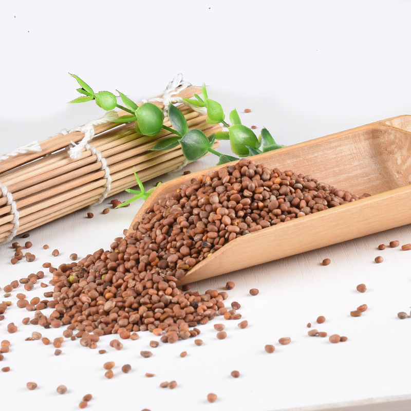 Radish Seed Lai Fu Zi 500g Dried Raphanus sativus Seeds for Decoction and Tea - Image 2