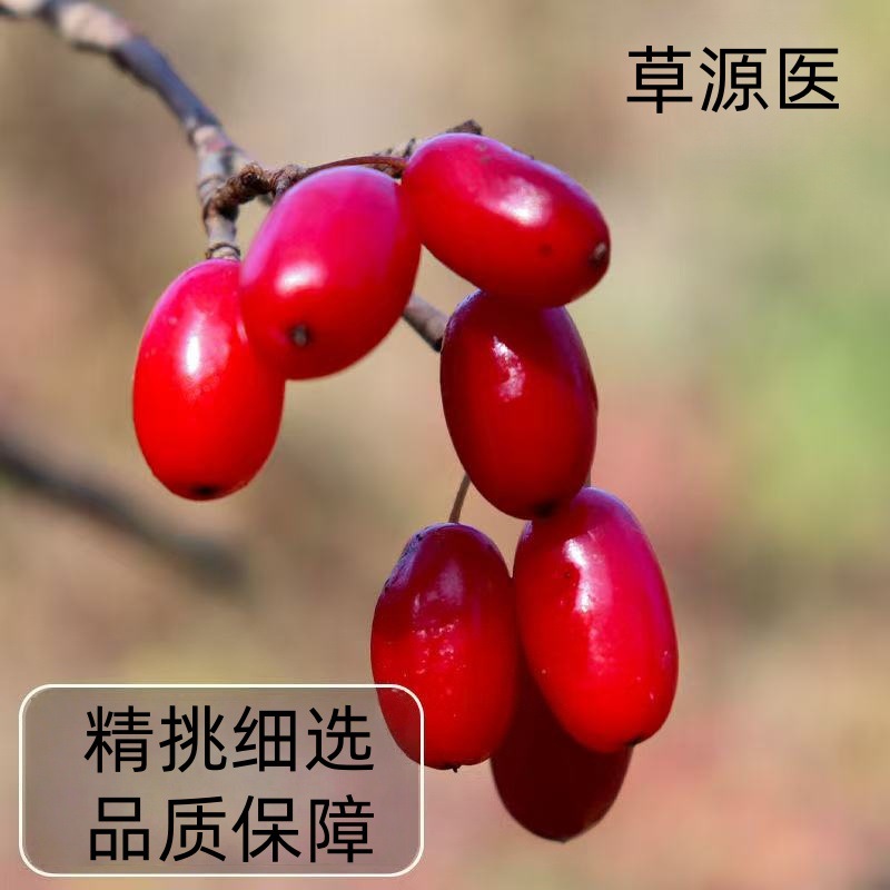 Dried Cornus Fruit Shan Zhu Yu 300g Bag Thick Pitted Slices for Tea Soup and Wine Infusion - Image 4