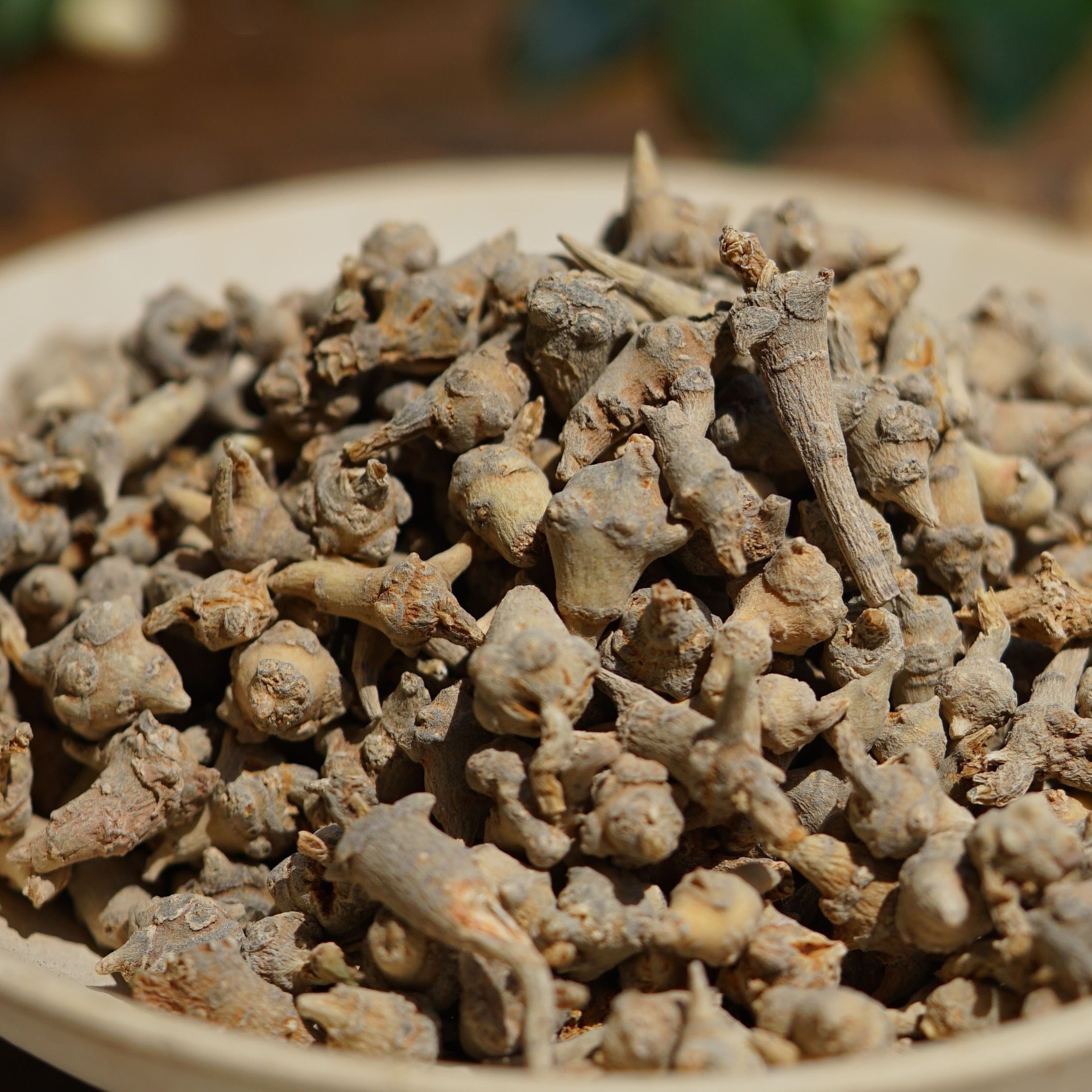 Tibetan Notoginseng Root Blocks San Qi 50g Box Premium Herbal Decoction Pieces - Image 3