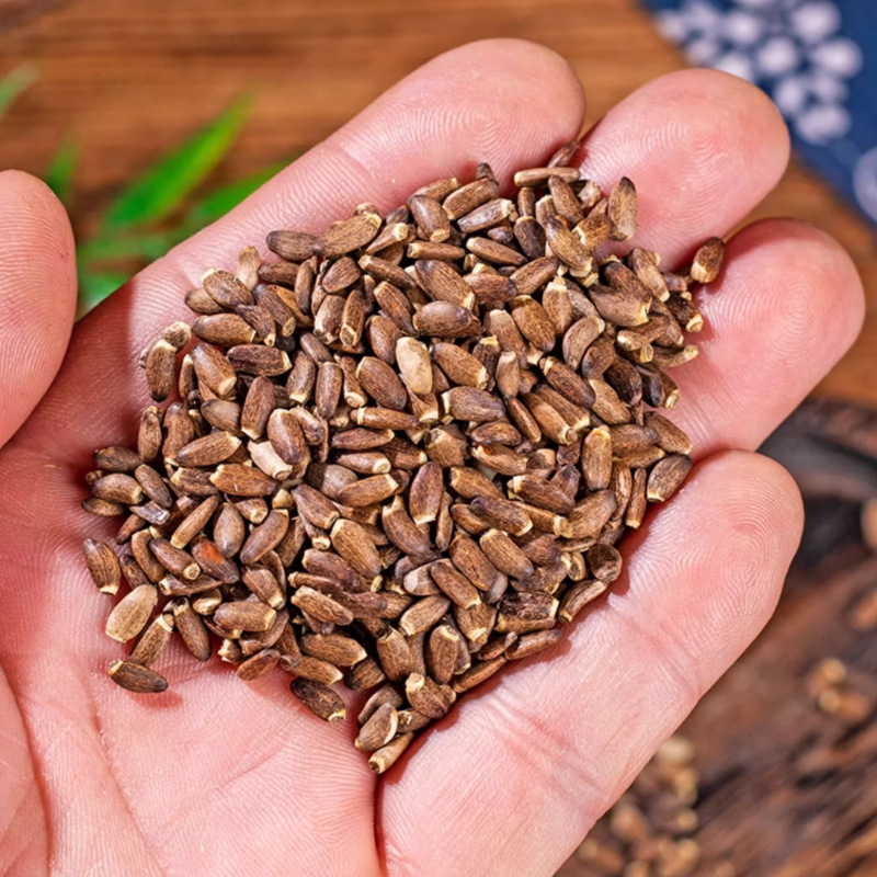 Milk Thistle Seed Shui Fei Ji 500g Dried Silybum Marianum Seeds for Herbal Tea and Decoction - Image 2